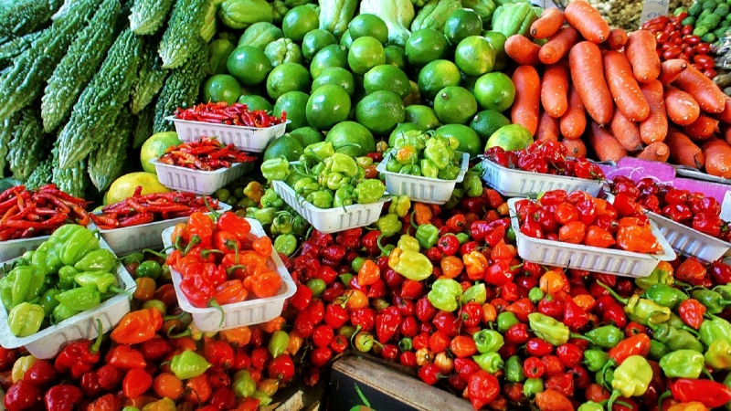 primeur-SOLLIES TOUCAS-min_farmers-market-1329008